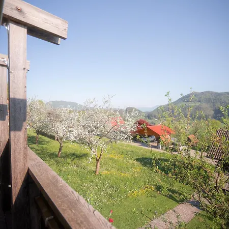 Tatil Evi Kajza Kolovrat