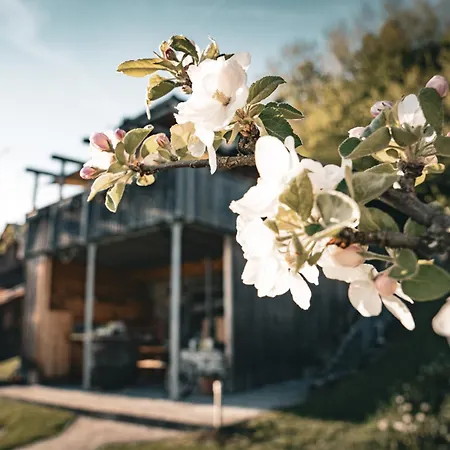 Tatil Evi Kajza Kolovrat