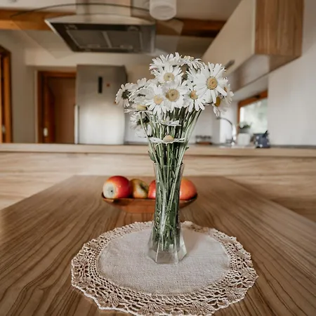 Kajza Kolovrat Tatil Evi *