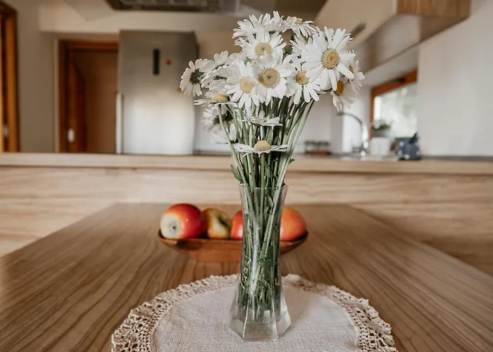 Kajza Kolovrat Casa vacanze *